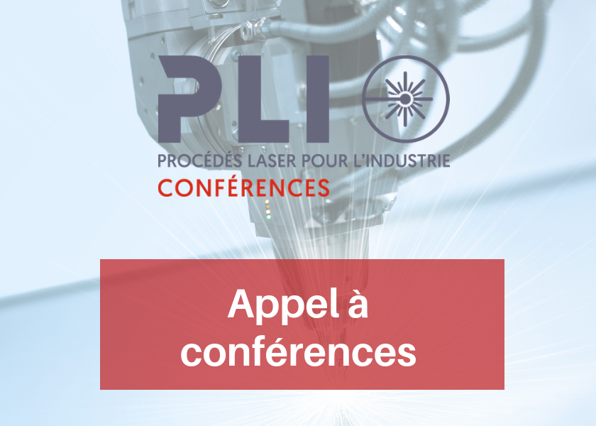 Call for conference papers – PLI 2019