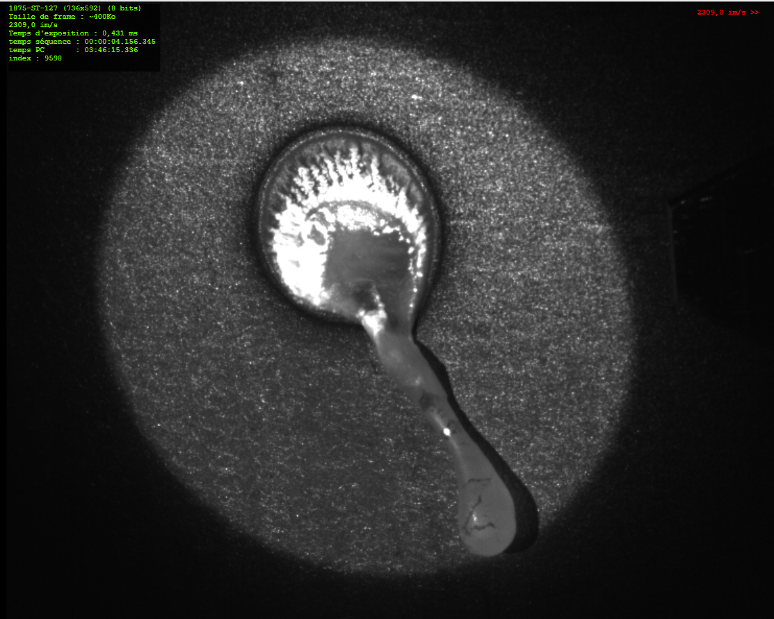 The results of the first trials on the VTF platform 